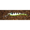 Hunter Crankbait